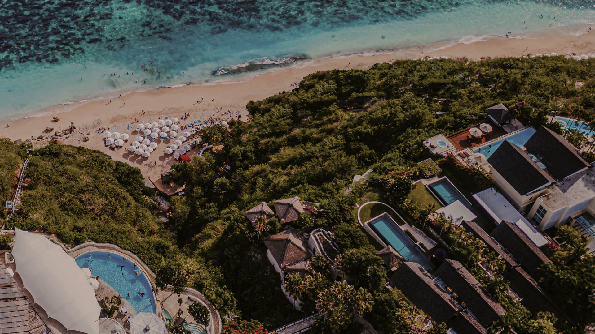 Tell Me More About Karma Gras House of Karma