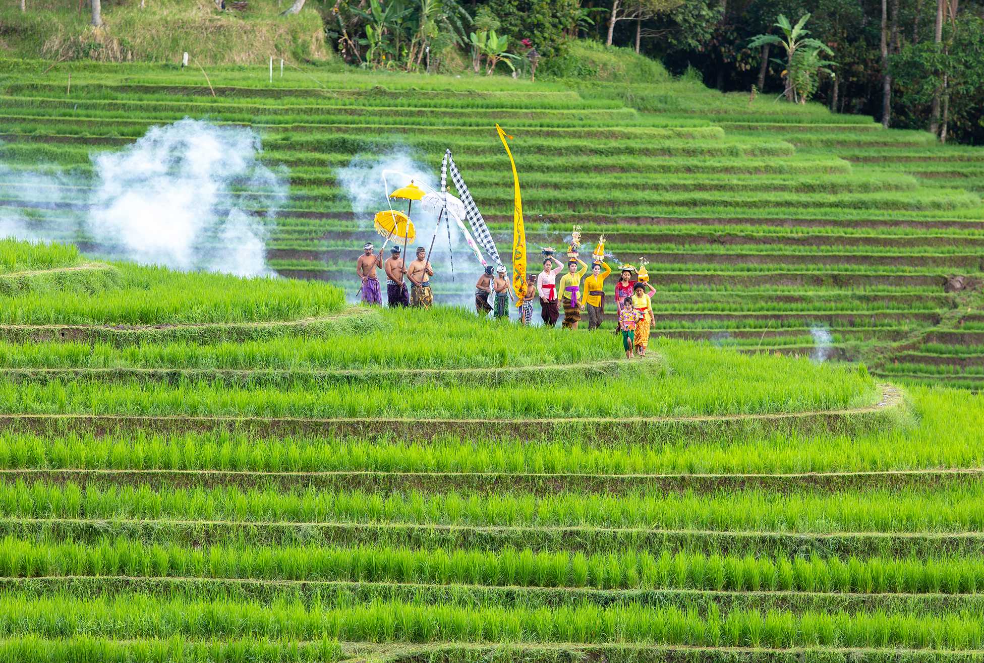 Visayan Rice Planting Ritual Across Rice Fields & Rituals of Bali - House of Karma